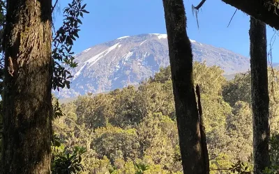 Expediția pe Kilimanjaro – Ziua 6