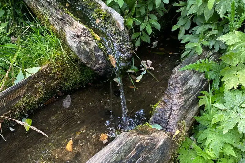 Oltului-Quelle, Giurge-Gebirge