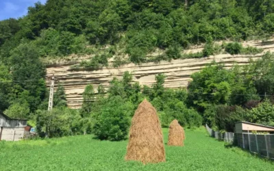 Rundkurs Pucioasa - Bezdead, Dâmbovița