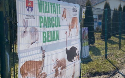 Bejan-Park, Deva, Hunedoara