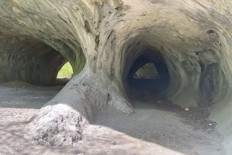Vârghișului-Schlucht und Tatar-Grotte, Perșani-Gebirge