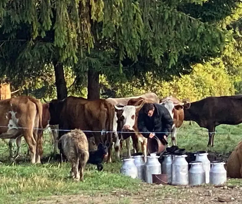Bran - Clincea - Mălăiești-Sattel, Bucegi-Gebirge
