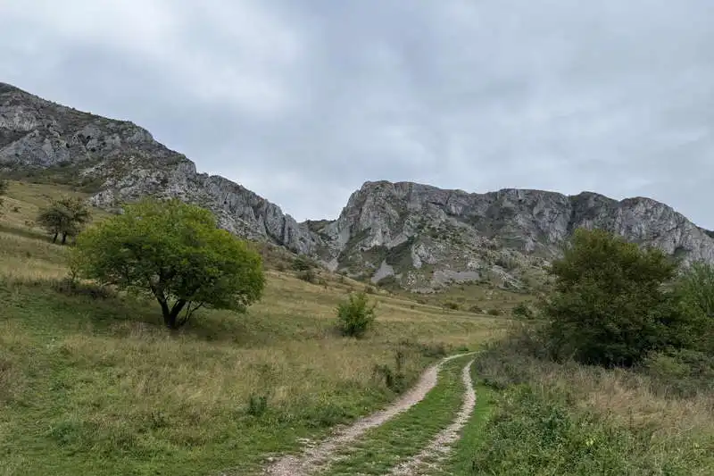 Circuit Piatra Secuiului, Munții Trascău