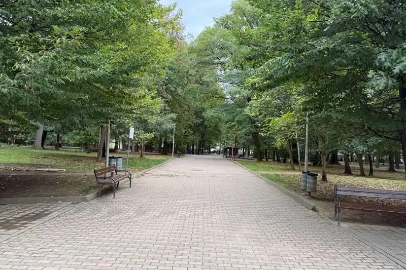 Parcul Municipal Regina Maria, Baia Mare, Maramureș