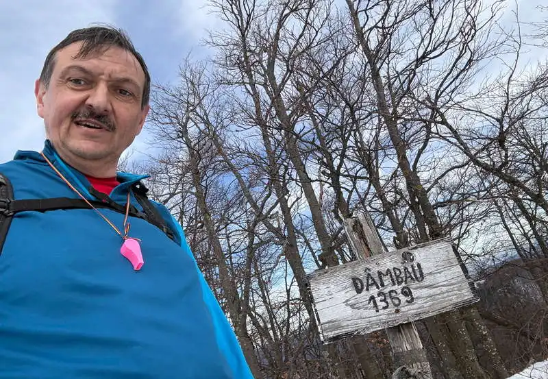 Vârful Dâmbău, Munții Metaliferi