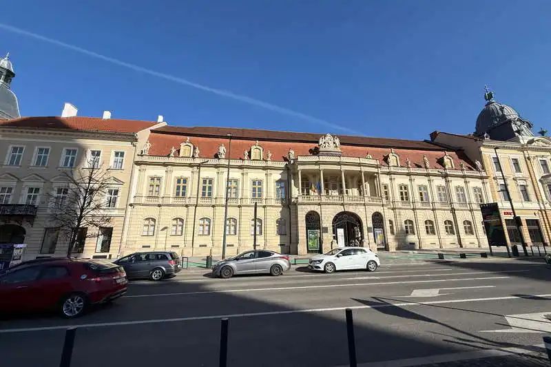 Muzeul de Artă, Cluj-Napoca, Cluj