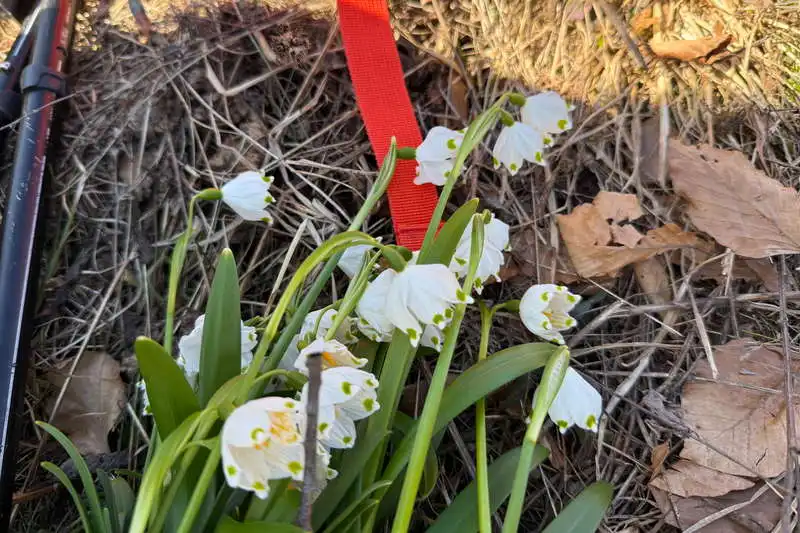 Platoul Vârtoapelor, Munții Orăștiei