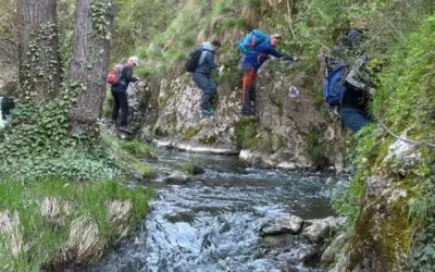 Cheile Turenilor, Munții Trascăului