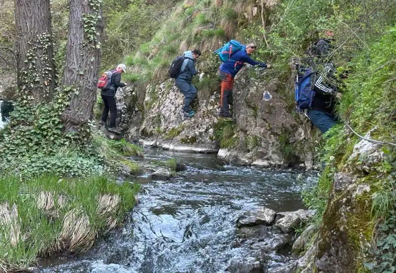 Cheile Turenilor, Munții Trascăului